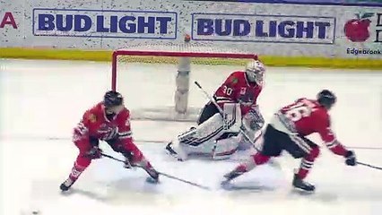 Tuscon Roadrunners (1) Vs. Rockford IceHogs (3)