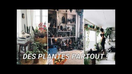 Pourquoi les plantes passionnent-elles les urbains?