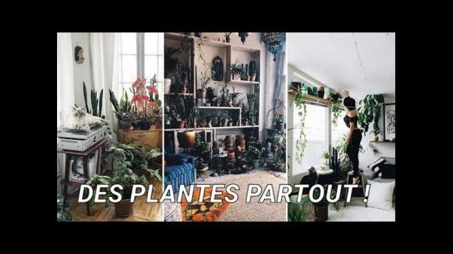 Pourquoi les plantes passionnent-elles les urbains?