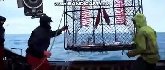 토토솔루션임대, 토토솔루션분양, BK토토솔루션