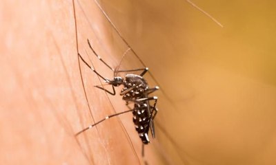 128 Warga Bekasi Terjangkit Demam Berdarah