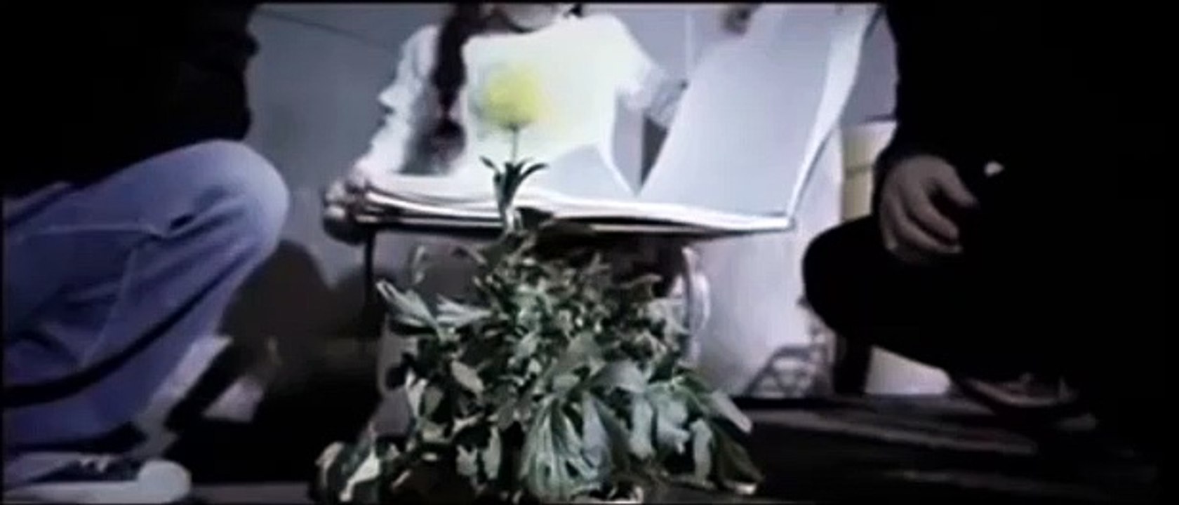 EXILE song for you - PV 原曲MIX Remove extra version [余分除去]