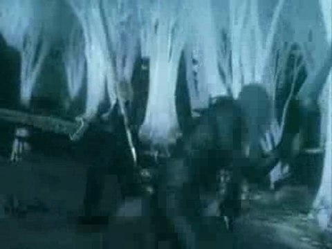 Final Fantasy Advent Children AMV