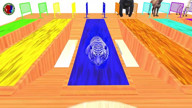 Learn Colors With Forest Animals Names And Sounds For Kids ## || lion tiger gorilla bear cheetah horse