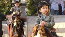 Taimur Ali Khan again enjoys Horse Riding at Amrita house; Check out | FilmiBeat