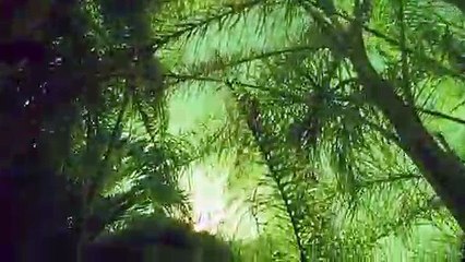 당진출장안마 {Ø7Øx7575xØØ77}【카톡VVV75】당진출장샵'예약'당진출장마사지 당진여대생출장 당진여고생출장 당진콜걸샵