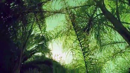 보령출장안마 {Ø7Øx7575xØØ77}【카톡VVV75】보령출장샵'예약'보령출장마사지 보령여대생출장 보령여고생출장 보령콜걸샵