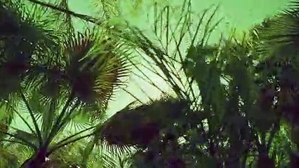 대덕출장안마 {Ø7Øx7575xØØ77}【카톡VVV75】대덕출장샵'예약'대덕출장마사지 대덕여대생출장 대덕여고생출장 대덕콜걸샵