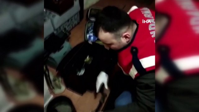 Müze gibi evde yüzlerce kaçak tarihi eser yakalandı