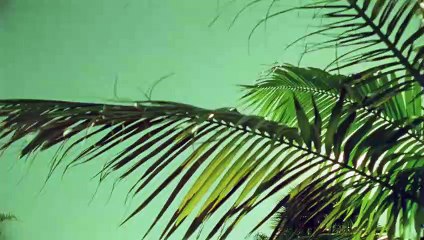 속초출장안마 {Ø7Øx7575xØØ77}【카톡VVV75】속초출장샵'예약'속초출장마사지 속초여대생출장 속초여고생출장 속초콜걸샵