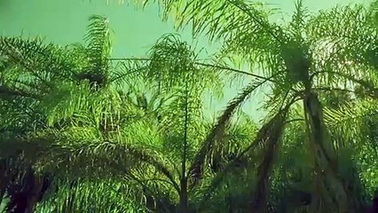 횡성출장안마 {Ø7Øx7575xØØ77}【카톡VVV75】횡성출장샵'예약'횡성출장마사지 횡성여대생출장 횡성여고생출장 횡성콜걸샵