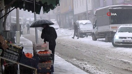 Beytüşşebap’ta kar yağışı yeniden başladı