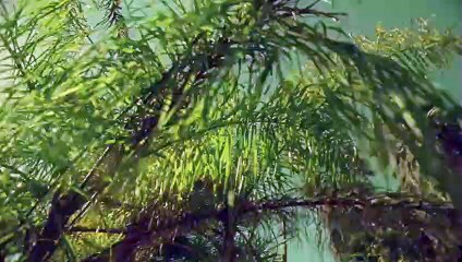 강진출장안마 {Ø7Øx7575xØØ77}【카톡VVV75】강진출장샵'예약'강진출장마사지 강진여대생출장 강진여고생출장 강진콜걸샵