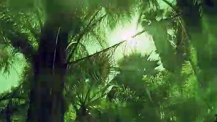 장흥출장안마 {Ø7Øx7575xØØ77}【카톡VVV75】장흥출장샵'예약'장흥출장마사지 장흥여대생출장 장흥여고생출장 장흥콜걸샵