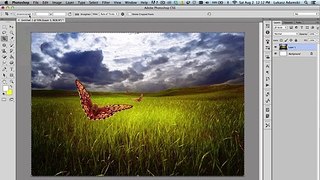 How to crop an image in Photoshop?