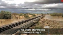 'Hundreds of thousands' of cattle feared dead after Australia floods