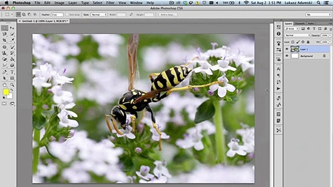 What is a Selection in Photoshop?