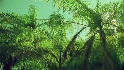 강북출장안마-{카톡VVV75 }⊀Ö7Ô-7575-0077⊁강북출장마사지'20대'강북출장안마출장안마코스강북출장안마강북출장맛사지-황제강북출장맛사지-강북콜걸.