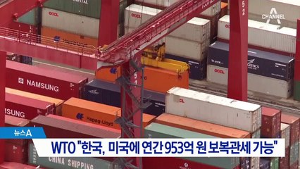 WTO “한국, 미국에 연간 953억 원 보복관세 가능”