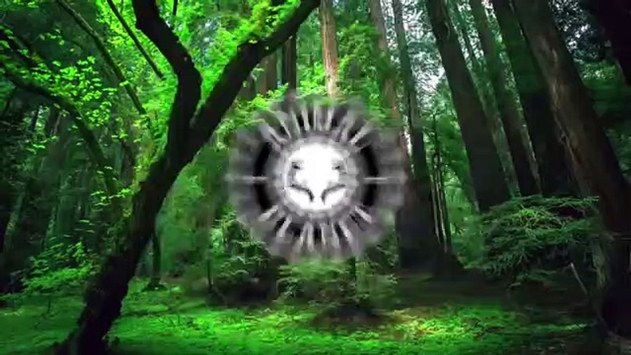 Funny video