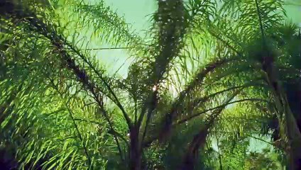 동두천출장안마-{카톡VVV75 }⊀Ö7Ô-7575-0077⊁동두천출장마사지'20대'동두천출장안마출장안마코스동두천출장안마동두천출장맛사지-황제동두천출장맛사지-동두천콜걸.