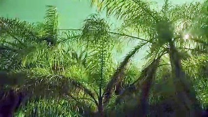 의정부출장안마-{카톡VVV75 }⊀Ö7Ô-7575-0077⊁의정부출장마사지'20대'의정부출장안마출장안마코스의정부출장안마의정부출장맛사지-황제의정부출장맛사지-의정부콜걸.