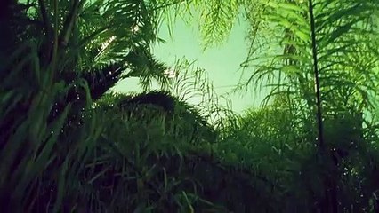 포천출장안마-{카톡VVV75 }⊀Ö7Ô-7575-0077⊁포천출장마사지'20대'포천출장안마출장안마코스포천출장안마포천출장맛사지-황제포천출장맛사지-포천콜걸.