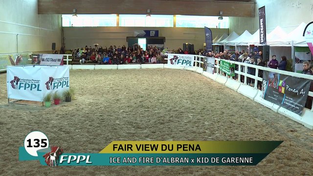 SALON DES ETALONS PONEYS DU LION D'ANGERS 2019