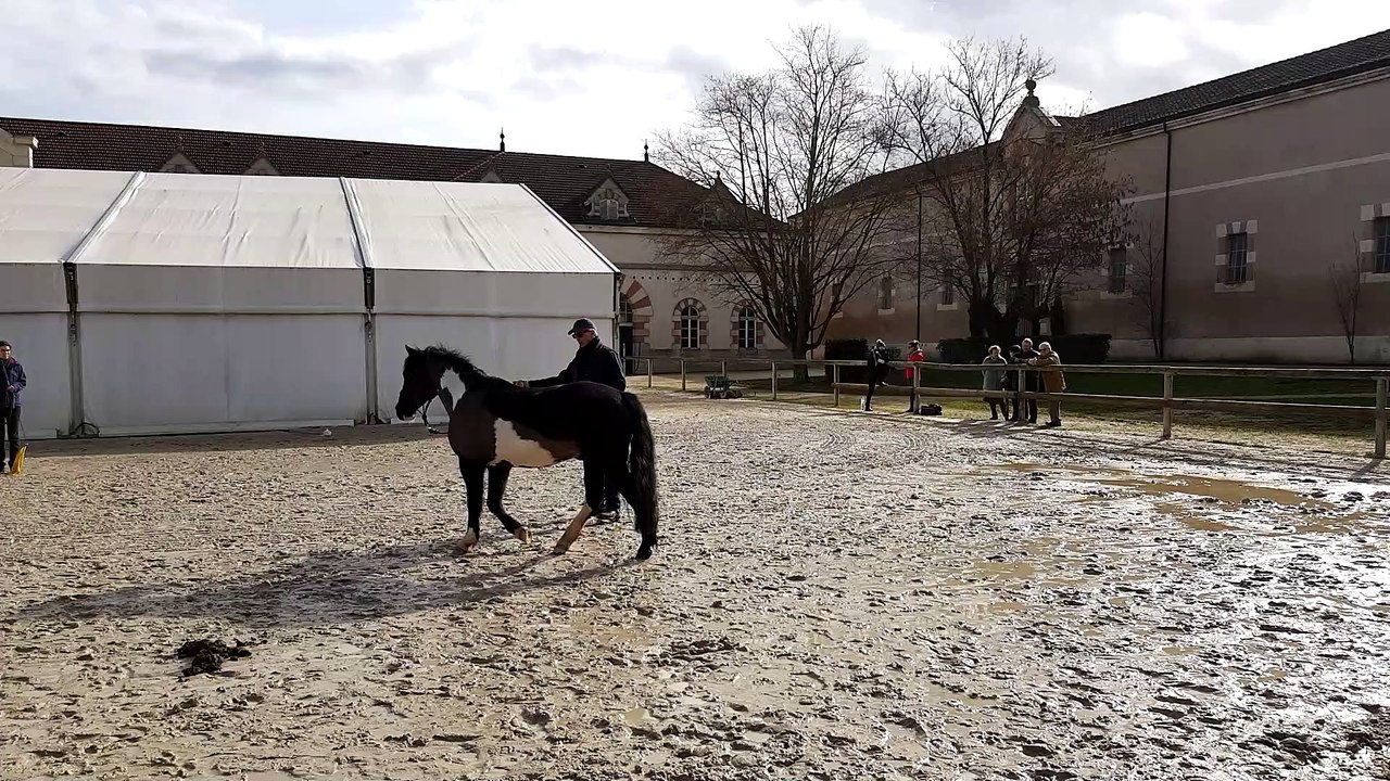 Thierry Lhermitte au Haras de Cluny