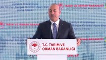 Çavuşoğlu: 'Yolcu sayısının en çok arttığı ülke Türkiye oldu' - ANTALYA