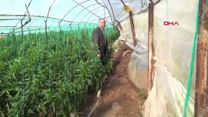 Antalya Kumluca'da Heyelan Seralara Zarar Verdi, Evleri Tehdit Ediyor