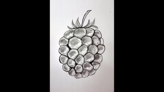 Ink Painting Time Lapse | Blackberry Fruit | Ink wash | Speedpaint