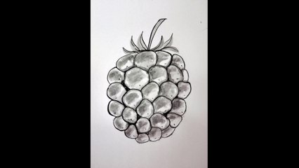 Ink Painting Time Lapse | Blackberry Fruit | Ink wash | Speedpaint