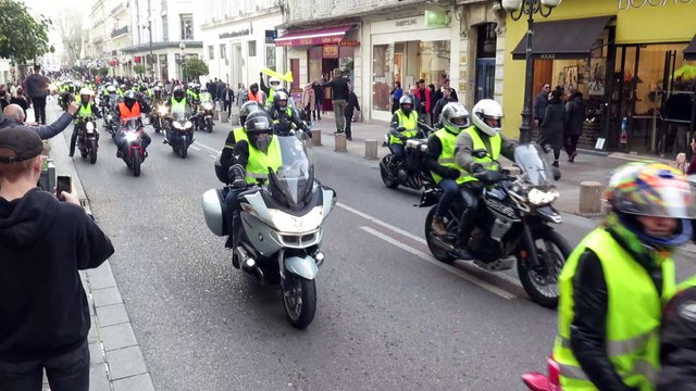 Les motards Gilets jaunes défilent rue de la République à Avignon