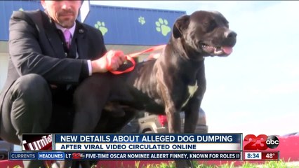 Man who recorded circulating video of alleged dog dumping speaks out
