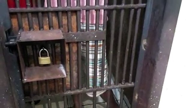 Jovem que derrubou três postes na Rua Indira Gandhi é detido por embriaguez