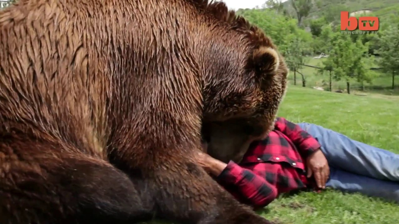 Je M'en Fous Je Suis Un Grizzly Cadeau Animaux Grizzly Drôle T-shirt à Manches Longues