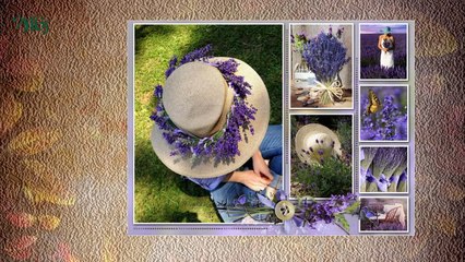 Колажи-Collages