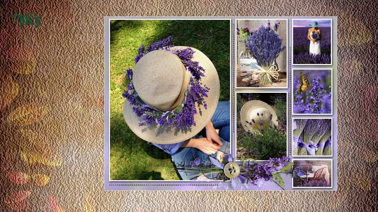 Колажи-Collages