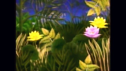 Mr. Wizard's World   (7 minute clip)