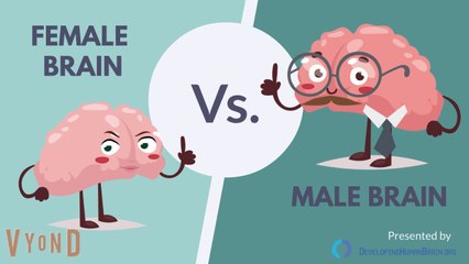 Male Brain vs Female Brain: What is the Big Difference?