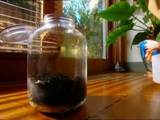 Backyard Science   S1E5   How To Measure Wind