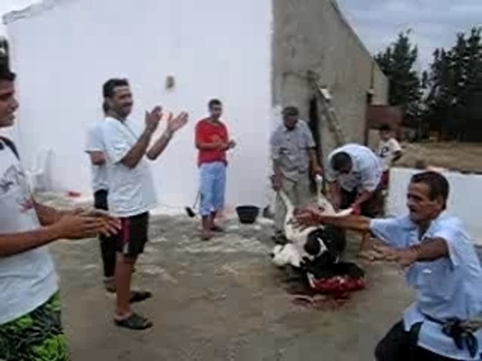 Mariage boubaker 028