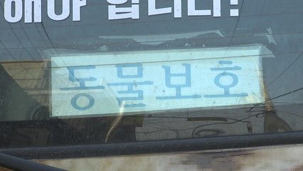 '후원금으로 해외여행'...동물보호단체 대표 기소 / YTN