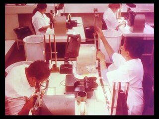 Que cavação é essa? (Estevão Garcia e Luís Rocha Melo, 2008) - 720p