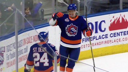 Sound Tigers 4 Bruins 2
