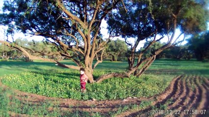 best beach kids playing sport fishing cooking