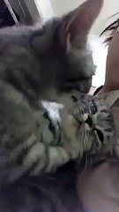 Hele şu güzelliğe bakın BÖYLEDE KARŞILIKSIZ DURULMAZ