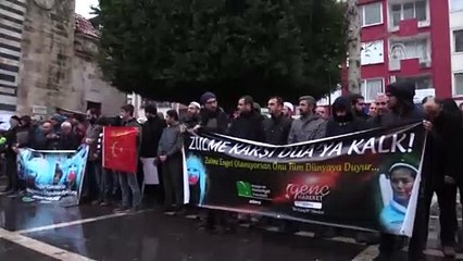 Çin'e Doğu Türkistan protestosu - ADANA