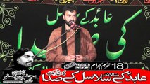 Zakir Syed Atif Naqvi Mandi Bhawal Deen 18th Muhram 1440(2018) Choti Behak Hafizabad